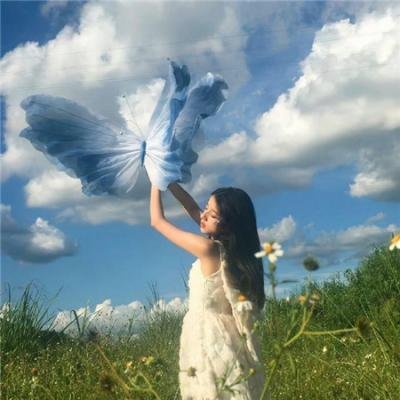 你好,树公主